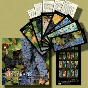 Wine cards, wine calendars, wine guides for wine tasting and wine education.
