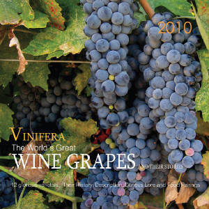 Vinifera Wine Grape 2010 Wine Calendar