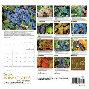 Wine cards, wine calendars, wine guides for wine tasting and wine education.