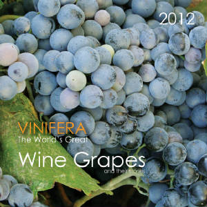 wine calendar 2012